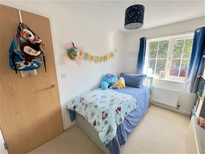 Picture 13